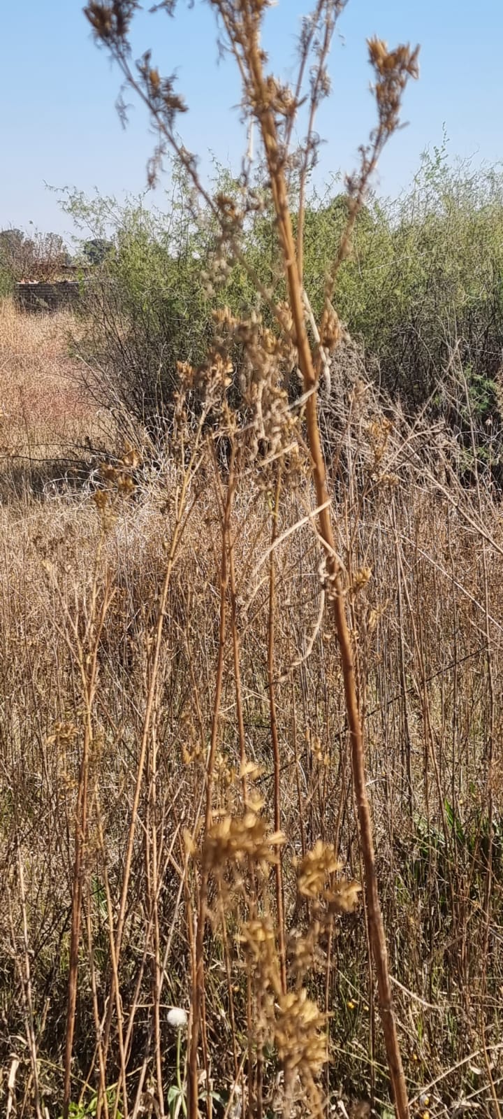 Commercial Property for Sale in Ellaton North West